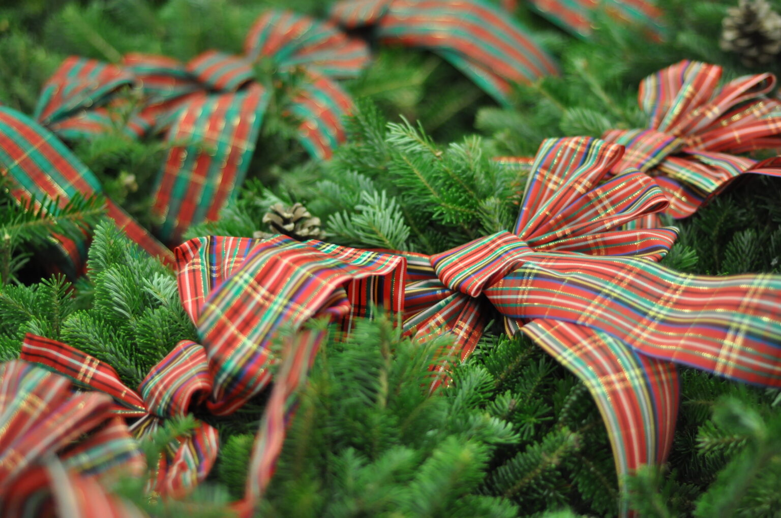 Wreath Sale FeedMore WNY